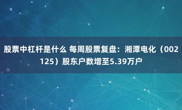股票中杠杆是什么 每周股票复盘：湘潭电化（002125）股东户数增至5.39万户