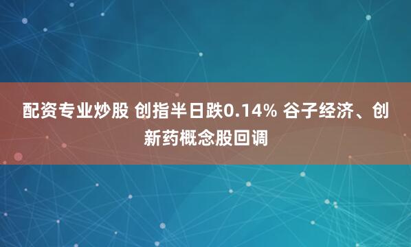 配资专业炒股 创指半日跌0.14% 谷子经济、创新药概念股回调