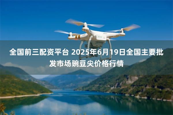 全国前三配资平台 2025年6月19日全国主要批发市场豌豆尖价格行情