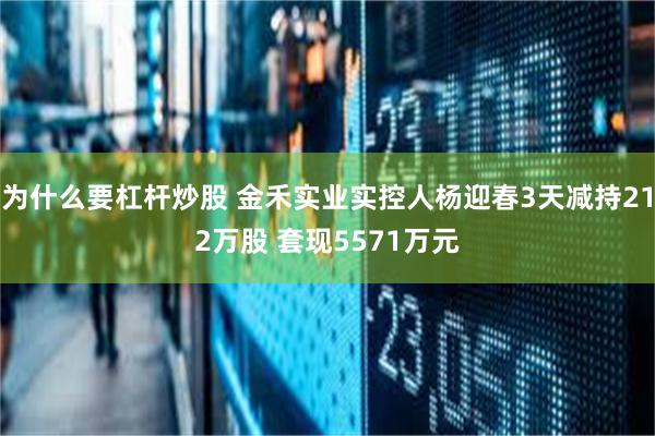 为什么要杠杆炒股 金禾实业实控人杨迎春3天减持212万股 套现5571万元