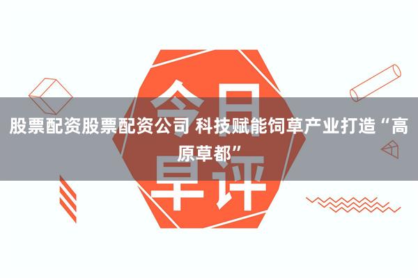 股票配资股票配资公司 科技赋能饲草产业打造“高原草都”