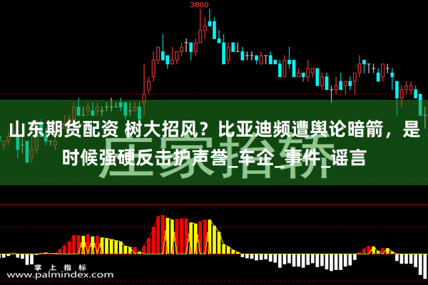 山东期货配资 树大招风？比亚迪频遭舆论暗箭，是时候强硬反击护声誉_车企_事件_谣言