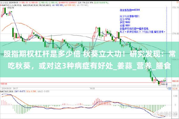 股指期权杠杆是多少倍 秋葵立大功！研究发现：常吃秋葵，或对这3种病症有好处_姜蒜_营养_膳食