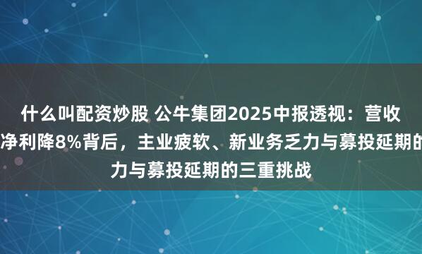 什么叫配资炒股 公牛集团2025中报透视：营收降2.6%、净利降8%背后，主业疲软、新业务乏力与募投延期的三重挑战